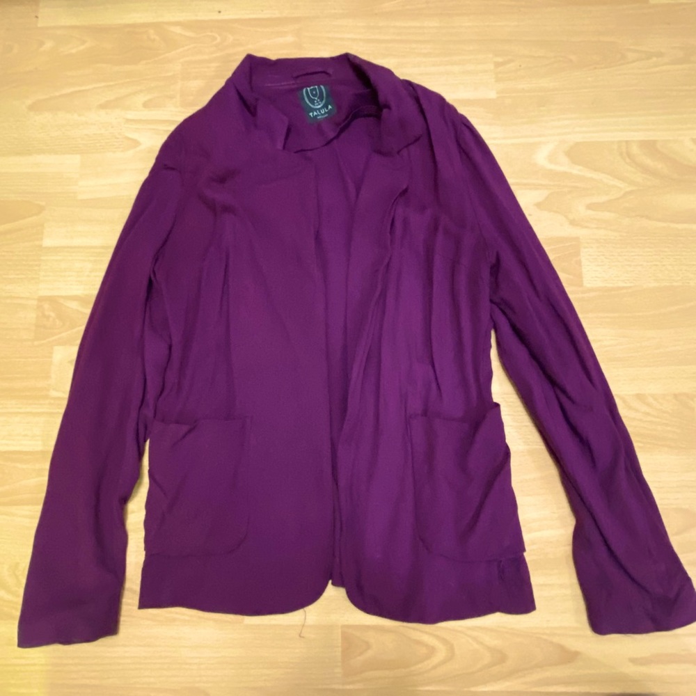 Aritzia Blazer